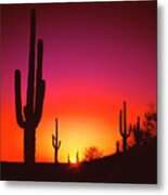 Desert Sunset Metal Print