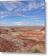 Desert Tranquility Metal Print