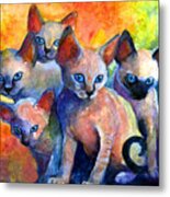 Devon Rex Kitten Cats Metal Print