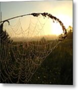 Dew On Spider Web At Sunrise Metal Print