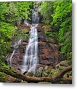 Dill Falls Metal Print