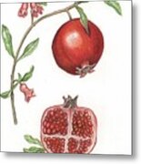 Dissection Of A Pomegranate Metal Print