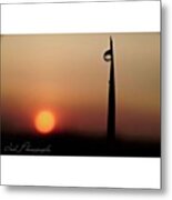 Do You See The Sunset In A Dew? Metal Print