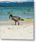 Do Your Own Thing Metal Print