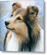 Dog 122 Metal Print