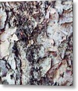 Dog Wood Metal Print