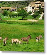 Donkeys In Provence Metal Print