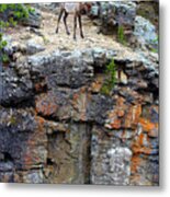 Don't Jump Metal Print