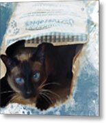 Don't Let The Cat Out Of The Bag Metal Print