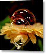 Double Bubble Flower Metal Print