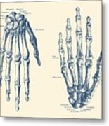 Double Hand Skeletal Diagram - Vintage Anatomy Print Metal Print