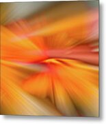 Double Shot Metal Print