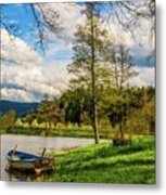 Down By The Lake Metal Print