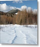 Downes - Oliverian Brook Ski Trail - White Mountains New Hampshire Metal Print