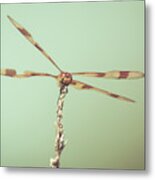 Dragonfly Wings Metal Print