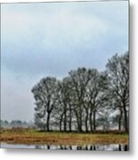 Drenthe Marshes I Metal Print