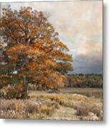 Dressed In Autumn Metal Print