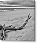 Driftwood On The Beach In Black And White Metal Print