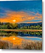 Dry Lagoon Spring Morning Metal Print