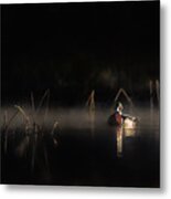 Duck Of The Morning Mist Metal Print