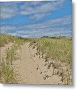 Dune Shack Path Metal Print