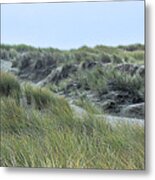 Dunes At Bodega Metal Print