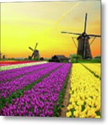 Dutch Windmills And Sunset Metal Print