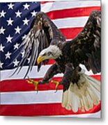 Eagle And Flag Metal Print