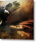 Eagle Is Landing Metal Print