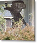 Eagle Statue Metal Print