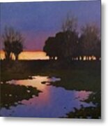 Early Morning Rice Fields Metal Print