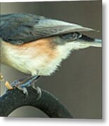 Early Titmouse Gets The Worm Metal Print