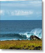 Easter Island Surf Metal Print
