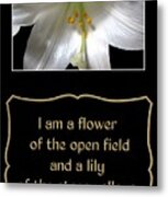 Easter Lily With Song Of Songs Quote Metal Print