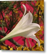 Easter Lily Without Text Metal Print