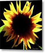 Eclipse Of The Sunflower Metal Print