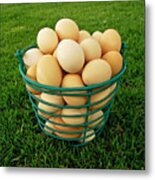 Eggs In A Basket Metal Print