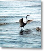 Egret At Sunset Metal Print