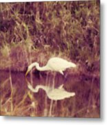Egret In Abstract Metal Print