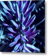 Electric Cactus Flower Metal Print