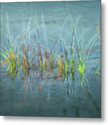 Electric Grass Metal Print