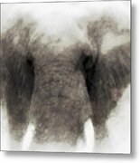 Elephant Portrait Metal Print