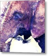 Elephant Watercolor Painting Metal Print