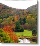 Elk Country Pennsylvania Metal Print