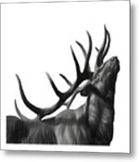 Elk In Black In White Metal Print