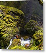 Elowah Falls Metal Print