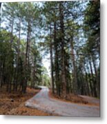 Empty Road Passing Through The Forest Metal Print