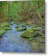 Enchanted Forest Three Metal Print