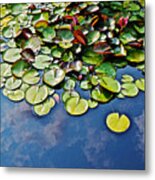 End Of July Water Lilies In The Clouds Metal Print