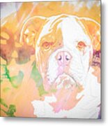 English Bulldog Wc Metal Print